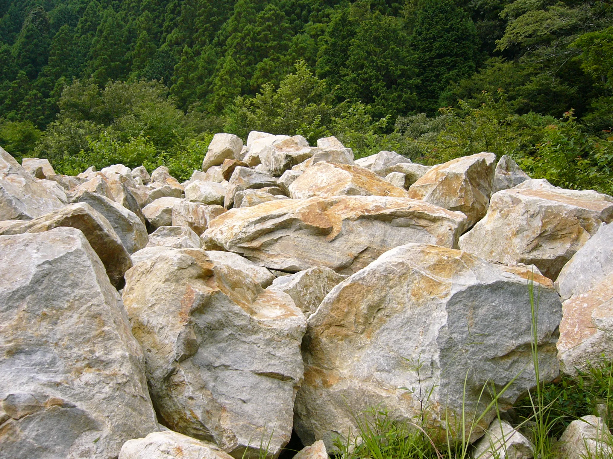 山の緑を背景に積み上げられた段戸石